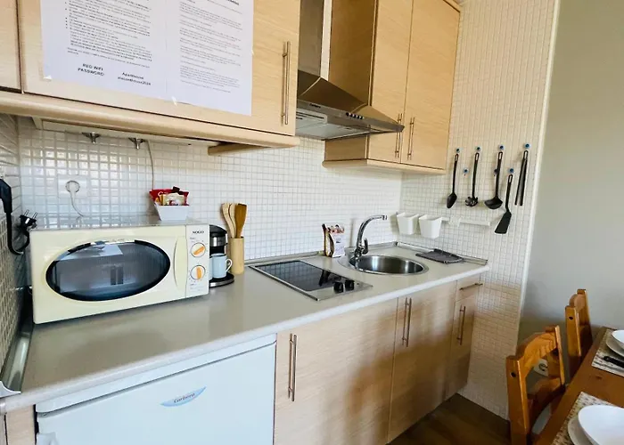 House Star Estudio Con Terraza Y Parking Gratis Daire Sierra Nevada